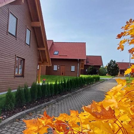 Premiumferienhaus Bhakti هاسلفيلد المظهر الخارجي الصورة